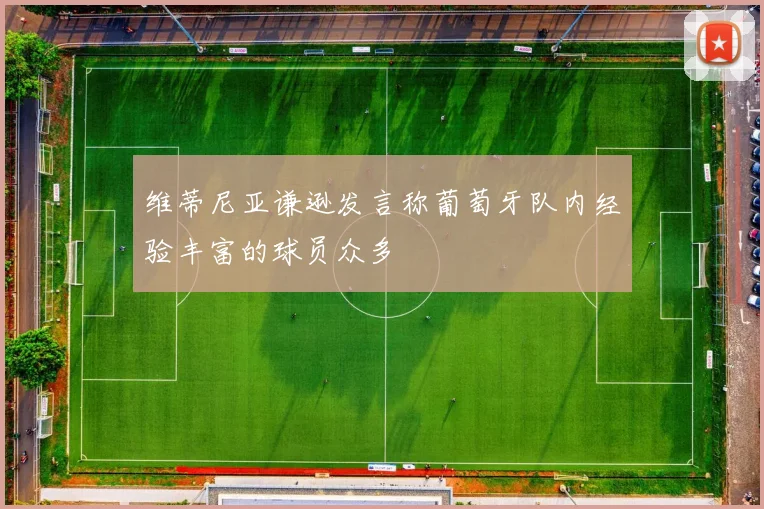 维蒂尼亚谦逊发言称葡萄牙队内经验丰富的球员众多